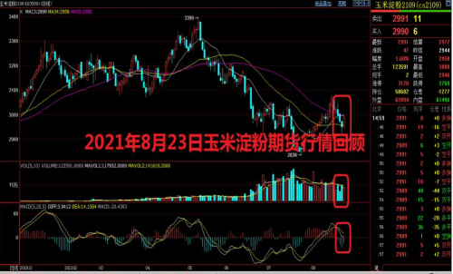 玉米淀粉期貨怎么買?玉米淀粉期貨日