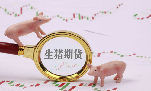 生豬期貨的成本介紹：期貨手續(xù)費(fèi)計(jì)